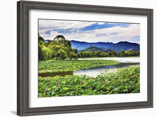 Yue Feng Pagoda Pink Lotus Pads Garden Reflection Summer Palace, Beijing, China-William Perry-Framed Photographic Print