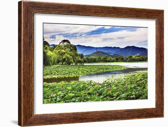 Yue Feng Pagoda Pink Lotus Pads Garden Reflection Summer Palace, Beijing, China-William Perry-Framed Photographic Print