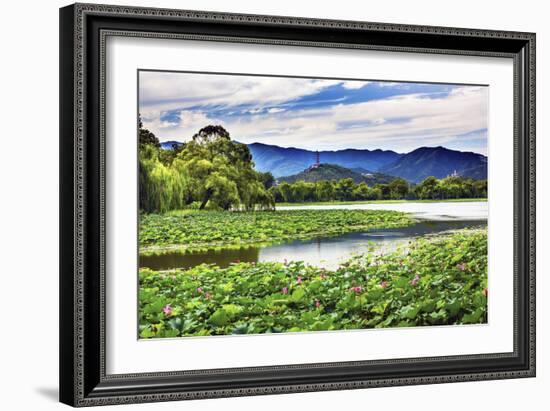 Yue Feng Pagoda Pink Lotus Pads Garden Reflection Summer Palace, Beijing, China-William Perry-Framed Photographic Print