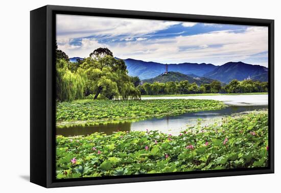 Yue Feng Pagoda Pink Lotus Pads Garden Reflection Summer Palace, Beijing, China-William Perry-Framed Premier Image Canvas
