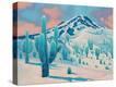 Stretched Canvas Print