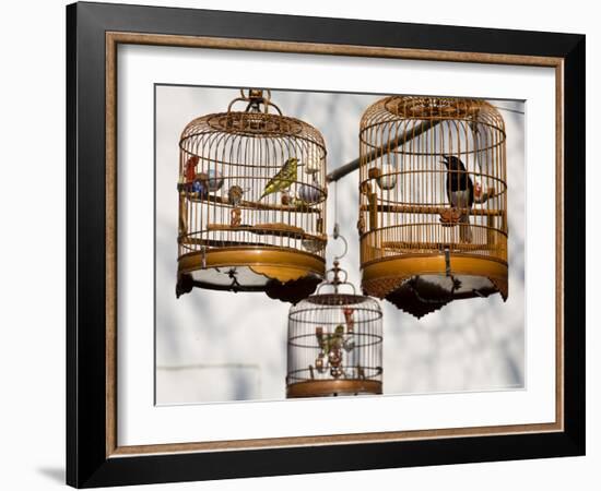 Yuen Po St Bird Market, Monkok, Kowloon, Hong Kong, China-Jane Sweeney-Framed Photographic Print