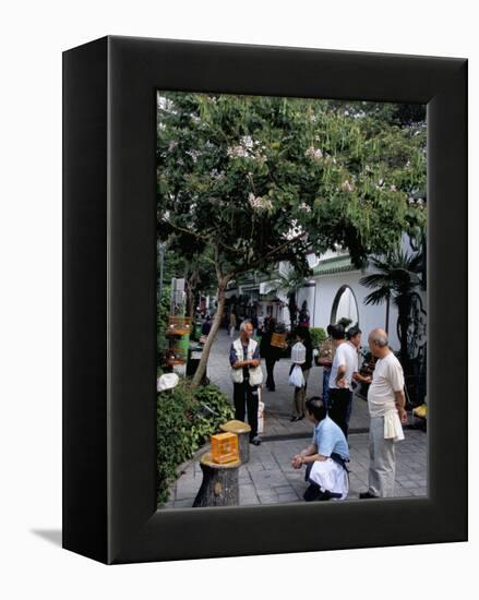 Yuen Po Street Bird Garden, Mong Kok, Kowloon, Hong Kong, China-Amanda Hall-Framed Premier Image Canvas