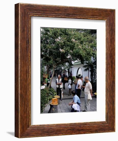 Yuen Po Street Bird Garden, Mong Kok, Kowloon, Hong Kong, China-Amanda Hall-Framed Photographic Print