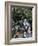 Yuen Po Street Bird Garden, Mong Kok, Kowloon, Hong Kong, China-Amanda Hall-Framed Photographic Print