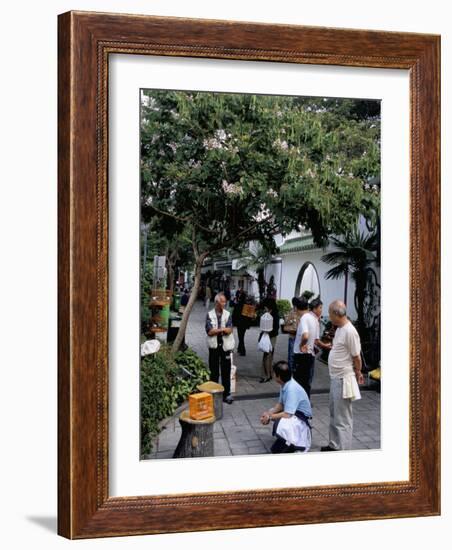 Yuen Po Street Bird Garden, Mong Kok, Kowloon, Hong Kong, China-Amanda Hall-Framed Photographic Print