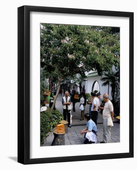 Yuen Po Street Bird Garden, Mong Kok, Kowloon, Hong Kong, China-Amanda Hall-Framed Photographic Print