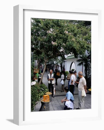 Yuen Po Street Bird Garden, Mong Kok, Kowloon, Hong Kong, China-Amanda Hall-Framed Photographic Print