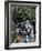 Yuen Po Street Bird Garden, Mong Kok, Kowloon, Hong Kong, China-Amanda Hall-Framed Photographic Print