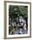 Yuen Po Street Bird Garden, Mong Kok, Kowloon, Hong Kong, China-Amanda Hall-Framed Photographic Print