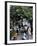 Yuen Po Street Bird Garden, Mong Kok, Kowloon, Hong Kong, China-Amanda Hall-Framed Photographic Print