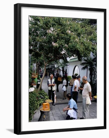 Yuen Po Street Bird Garden, Mong Kok, Kowloon, Hong Kong, China-Amanda Hall-Framed Photographic Print