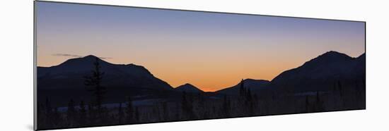 Yukon Winter Light-Brenda Petrella Photography LLC-Mounted Giclee Print