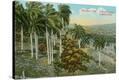 Stretched Canvas Print
