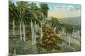 Premium Giclee Print