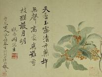 Cassia-Yun Shouping-Giclee Print