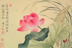 Lotus Flower, by Yun Shou-P'Ing (1633-90), from an 'Album of Flowers', (W/C on Silk Backed Paper)-Yun Shouping-Mounted Giclee Print