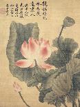 Lotus Flower, by Yun Shou-P'Ing (1633-90), from an 'Album of Flowers', (W/C on Silk Backed Paper)-Yun Shouping-Framed Premier Image Canvas