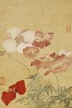 Poppies (Leaf from an Album of Flower Paintings)-Yun Shouping-Framed Giclee Print
