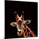 Premium Photographic Print