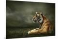Premium Photographic Print