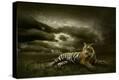 Stretched Canvas Print