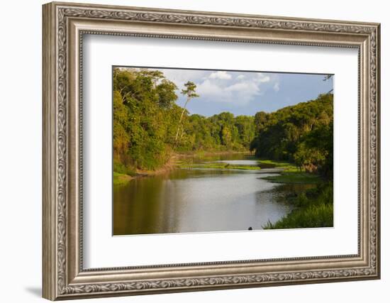 Yurapa River, a Tributary of the Ucayali River, Amazon Basin, Peru-Mallorie Ostrowitz-Framed Photographic Print