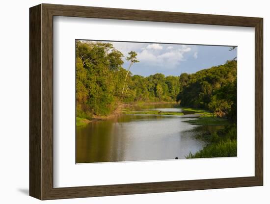 Yurapa River, a Tributary of the Ucayali River, Amazon Basin, Peru-Mallorie Ostrowitz-Framed Photographic Print