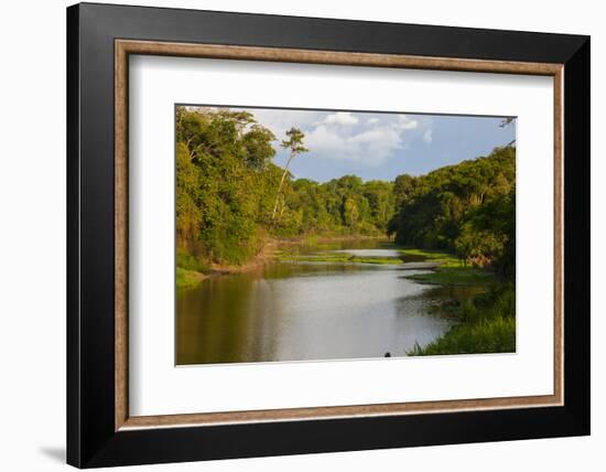 Yurapa River, a Tributary of the Ucayali River, Amazon Basin, Peru-Mallorie Ostrowitz-Framed Photographic Print
