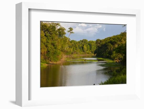 Yurapa River, a Tributary of the Ucayali River, Amazon Basin, Peru-Mallorie Ostrowitz-Framed Photographic Print