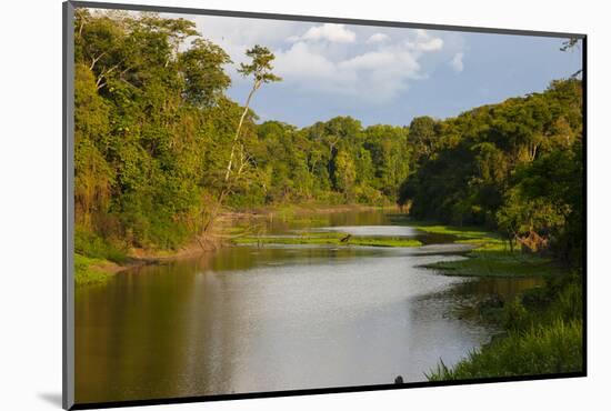 Yurapa River, a Tributary of the Ucayali River, Amazon Basin, Peru-Mallorie Ostrowitz-Mounted Photographic Print