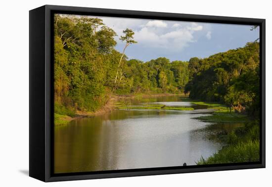 Yurapa River, a Tributary of the Ucayali River, Amazon Basin, Peru-Mallorie Ostrowitz-Framed Premier Image Canvas