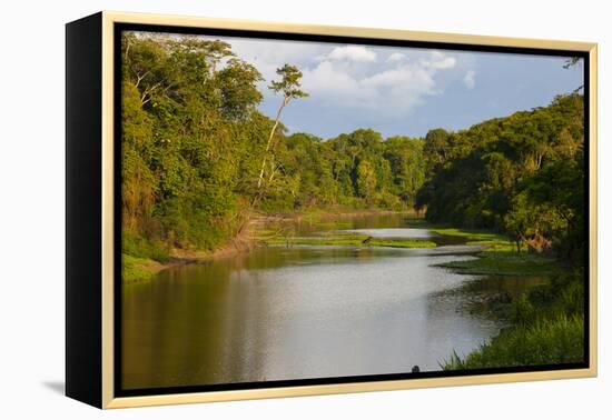 Yurapa River, a Tributary of the Ucayali River, Amazon Basin, Peru-Mallorie Ostrowitz-Framed Premier Image Canvas