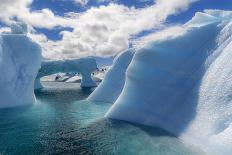 Antarctica, Antarctic Peninsula, Wilhelmina Bay with iceberg, glacial ice and snow petrel.-Yuri Choufour-Photographic Print