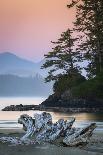 USA, Washington State, Olympic Peninsula. Panned ocean landscape.-Yuri Choufour-Framed Photographic Print