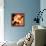 Yuri Gagarin, Soviet Cosmonaut, Artwork-Detlev Van Ravenswaay-Framed Premier Image Canvas displayed on a wall