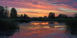 Colorful Sunset over a Small Lake on a Summer Day-Yurii Shelest-Mounted Photographic Print