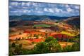 Photographic Print