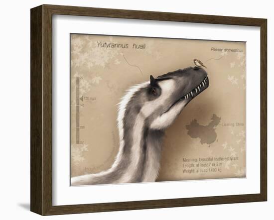 Yutyrannus Huali Is a Feathered Tyrannosauroid from the Early Cretacous of China-null-Framed Art Print