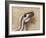 Yutyrannus Huali Is a Feathered Tyrannosauroid from the Early Cretacous of China-null-Framed Art Print