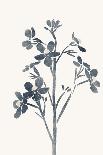 Blue Plant 1-Yuyu Pont-Framed Art Print