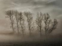 How Nature Hides the Wrinkles of Her Antiquity Under Morning Fog and Dew-Yvette Depaepe-Photographic Print