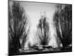 Photographic Print