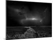 Photographic Print
