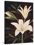 Botanical Elegance I-Yvette St^ Amant-Stretched Canvas