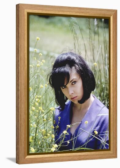 Yvonne Craig-null-Framed Stretched Canvas