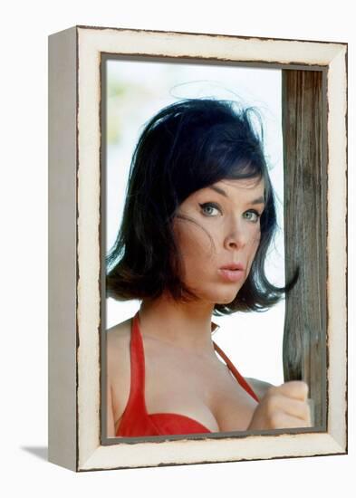 Yvonne Craig-null-Framed Stretched Canvas