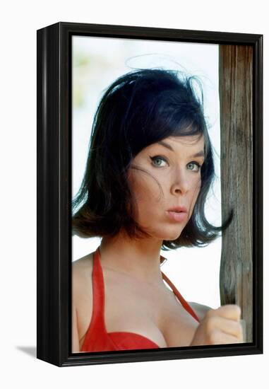 Yvonne Craig-null-Framed Stretched Canvas