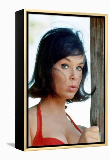 Yvonne Craig-null-Framed Stretched Canvas