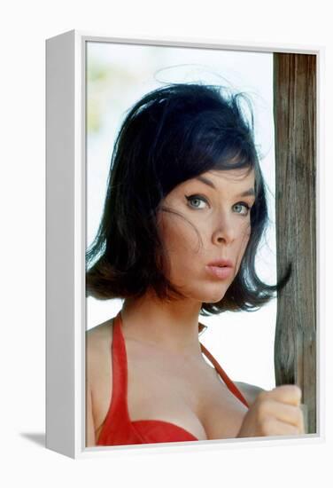 Yvonne Craig-null-Framed Stretched Canvas